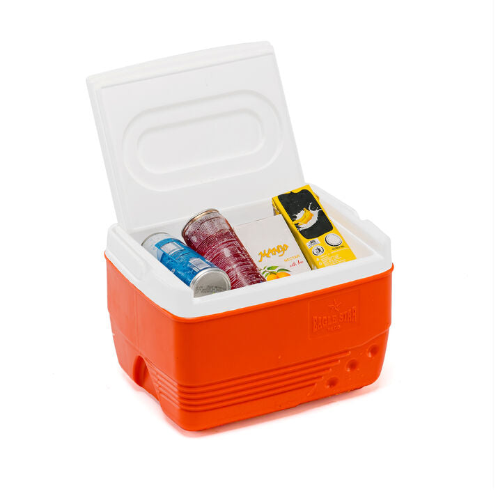 Max Icebox 5.5 liters/5.75 Quarts
